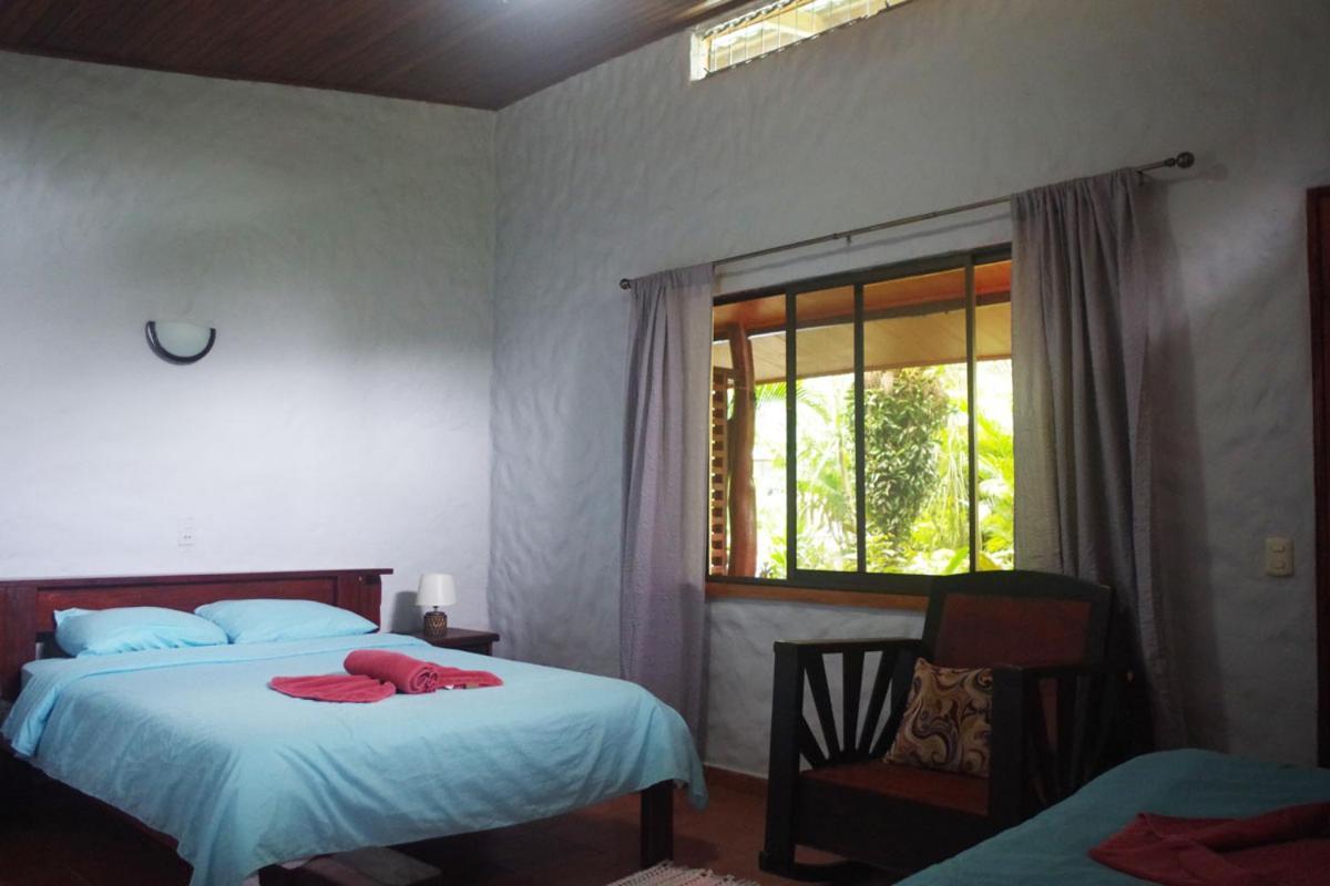 Casa Caribbean Coconut Cahuita Exterior foto