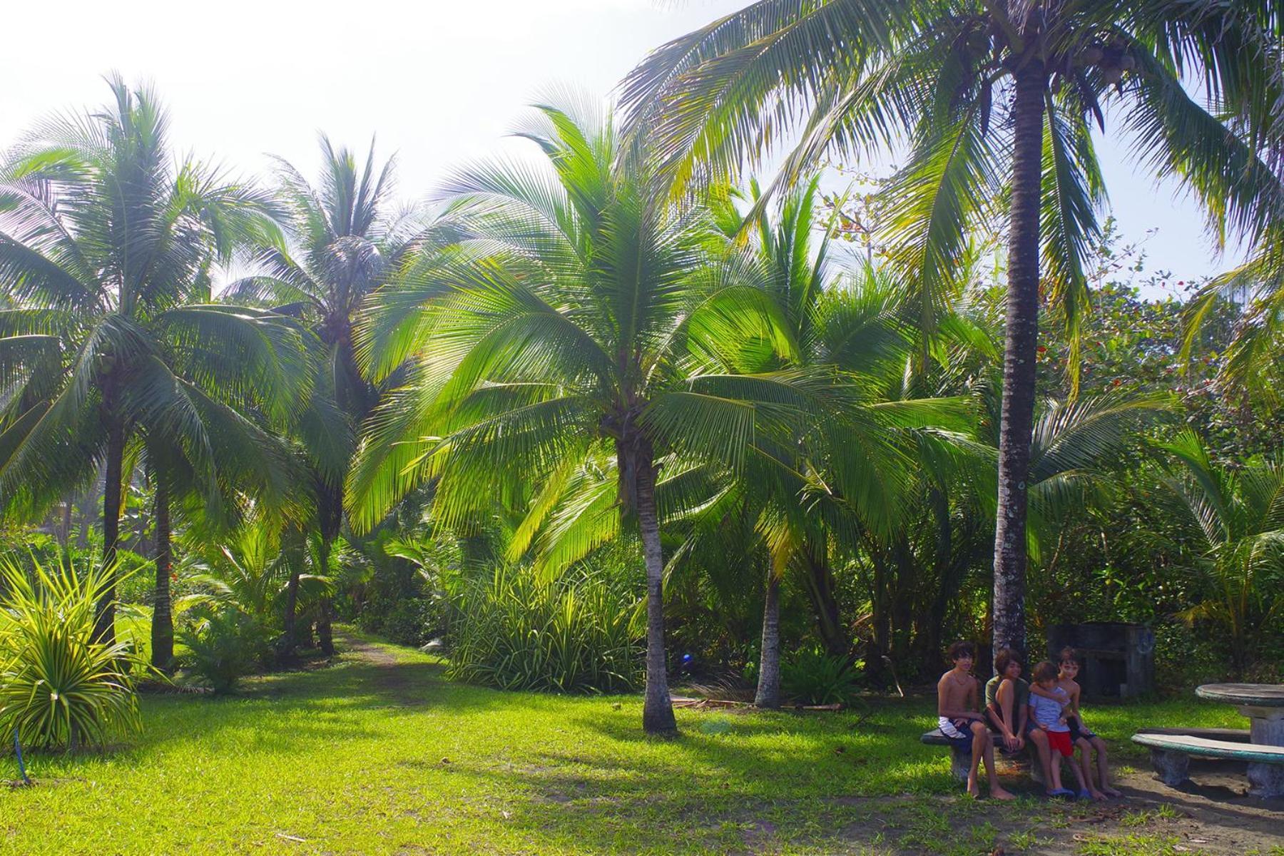 Casa Caribbean Coconut Cahuita Exterior foto